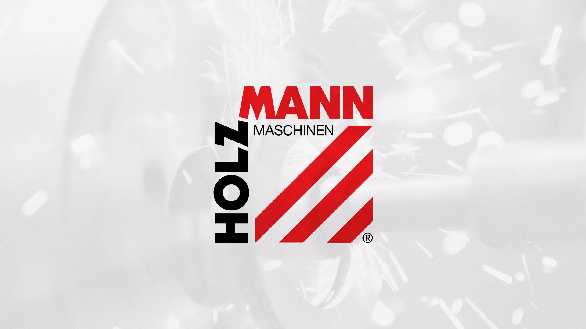 Создание сайта компании «HOLZMANN Maschinen GmbH» в Ликино-Дулево